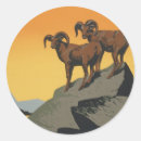 Recherche de mouflons autocollants Râpe