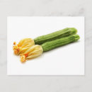 Recherche de courgette cartes postales Jaune