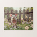 Suche nach schweinen puzzle Niedliches schwein
