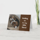 Suche nach beagle karten Hund