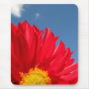 Suche nach dahlien mousepads Blume