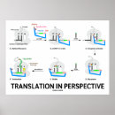 Suche nach proteine poster Wissenschaft