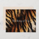 Recherche de tiger cartes postales Animal