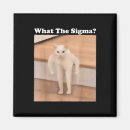 Suche nach meme magnete Kitty