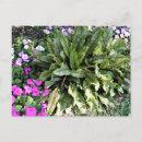 Recherche de veines cartes postales Jardin