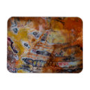 Suche nach fossil magnete Arizona