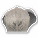 Suche nach lustige elefanten aufkleber Tier