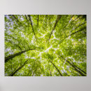 Suche nach grüne landschaft poster Baum