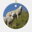 Suche nach schafe ornamente Bauernhof