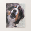 Recherche de colley puzzles Collie bore