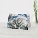 Recherche de centre photographie Arbres
