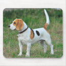 Recherche de parfume tapis souris Animal