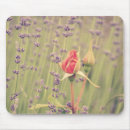 Suche nach pfirsich rosen mousepads Romantisch