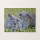 Recherche de lapin puzzles Bébé