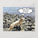 Recherche de homard drôle cartes postales Humour