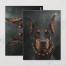 Recherche de pinscher dobermann cartes postales Animal
