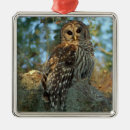 Suche nach moos ornamente Niemand