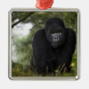 Suche nach gorilla ornamente Afrika