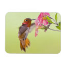 Recherche de colombie britannique magnets Oiseau