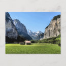 Suche nach lauterbrunnen postkarten Schwein