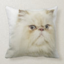 Recherche de portrait chat coussins Nature