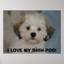 Recherche de poo posters Chien