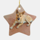 Suche nach australien ornamente Foto