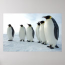 Suche nach märz poster Schnee
