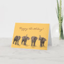 Suche nach vier tiere karten Lustig