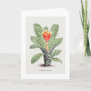 Suche nach botanische kunst karten Pflanze