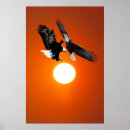Suche nach venus poster Sun