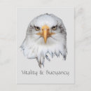 Recherche de boue cartes postales Animal