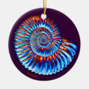 Suche nach fossil ornamente Muschel