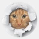 Recherche de oeil drôle autocollants Chat