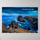 Suche nach vogel auf felsen poster Meer