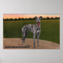 Suche nach windhunde poster Rennen