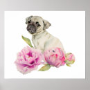 Suche nach mops poster Blume