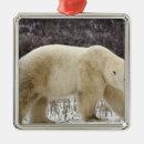 Recherche de churchill ornements Manitoba