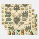 Suche nach nest geschenkpapier Hühner