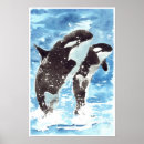 Recherche de tueur de c art Baleine