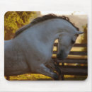 Suche nach andalusisch mousepads Stallion