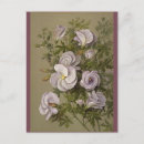 Suche nach vintage flowers postkarten Blumenreich