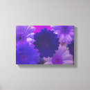 Suche nach gerbera leinwandbilder Durchtränkt