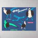 Suche nach evolution kunst Dinosaurier