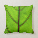Suche nach grüne blätter kissen Grünes