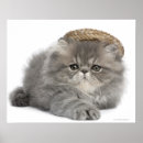 Suche nach persian poster Horizontal
