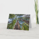 Recherche de muir vœux cartes Bois