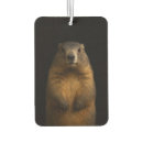 Recherche de arts voiture accessoires Pour eux