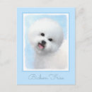 Recherche de bichons cartes postales Blanc