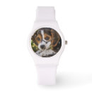 Recherche de beagle montres Animaux